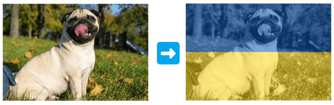 Example of filter application